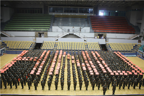 m1536940871729308.jpg 4.jpg